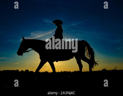 Silhouette cowgirl equitazione sulla piana aperta nella parte occidentale di sunrise Foto Stock