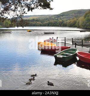 La vista del fiume Tummel dal Pitlochry Stazione Nautica & Avventura noleggio in Scozia, Regno Unito, Europa Foto Stock