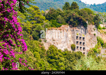 Bouganville in fiore filiale, costruzione di supporto con molteplici forme quadrate holding incolto roccioso e impedisce la caduta di massi al cit Foto Stock