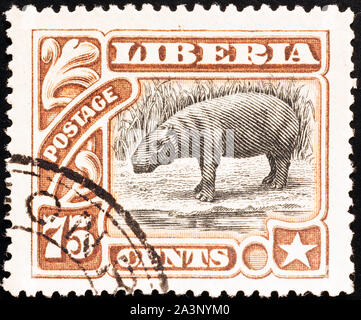 Ippopotamo pigmeo su vintage francobollo della Liberia Foto Stock