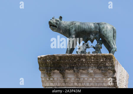 Una replica del Campidoglio Wolf lattante Romolo e Remo - Aquileia Friuli Venezia Giulia, Italia Foto Stock