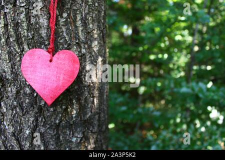 La foto mostra cuore rosso su un albero. Foto Stock