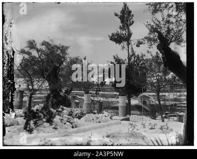 Neve in Gerusalemme, 1921. Neve, alberi e giardino Foto Stock