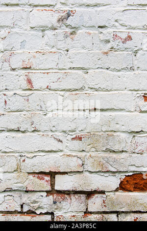 Vecchio muro, rotto e sporco, mattoni. Colore bianco design verticale dello sfondo. Foto Stock