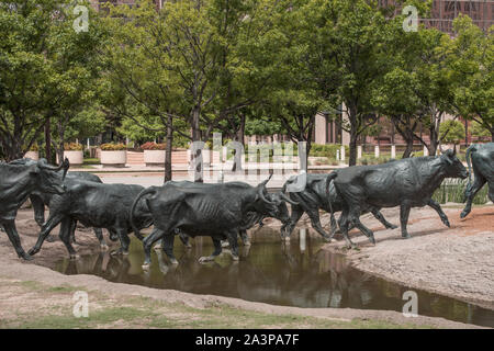 Alcuni dei 70 sterza in bronzo in una grande scultura in Pioneer Park a Dallas, in Texas, che commemora il diciannovesimo secolo e le unità di bestiame che ha avuto luogo lungo il Shawnee Trail, il più antico e più orientale via mediante la quale il Texas longhorn bovini sono stati presi a nord di funghi Foto Stock