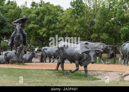 Alcuni dei 70 sterza in bronzo in una grande scultura in Pioneer Park a Dallas, in Texas, che commemora il diciannovesimo secolo e le unità di bestiame che ha avuto luogo lungo il Shawnee Trail, il più antico e più orientale via mediante la quale il Texas longhorn bovini sono stati presi a nord di funghi Foto Stock