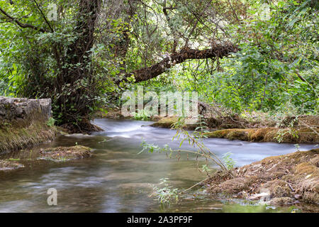 Belle cascate nel parco nazionale di Krka, Croazia. Foto da Skradinski buk Foto Stock