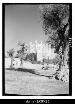 Chiesa di San Giorgio il campanile della cattedrale da oliveto Foto Stock