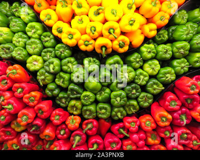 Verde, giallo e rosso bell e peperoni arancione impilati al mercato in un occhio modello di disegno. Foto Stock