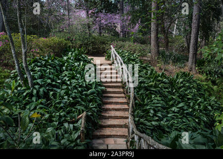 Scala a Bayou Bend Raccolta e giardini nel fiume Oaks quartiere di Houston, Texas Foto Stock