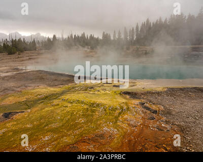 Hot Springs, West Thumb, Yellowstone, Wyoming Foto Stock