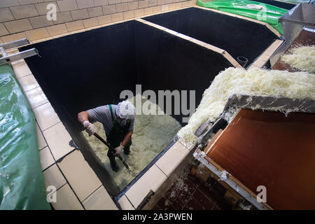 Filderstadt, Germania. 09oct, 2019. Un lavoratore strati piallato Cavolo cappuccio appuntito in un contenitore per fare crauti. Gli agricoltori sono soddisfatti con il loro raccolto di filderkraut finora. Credito: Sebastian Gollnow/dpa/Alamy Live News Foto Stock