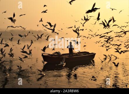 Una vista mattutina di Yamuna Ghaat piena di uccelli Foto Stock