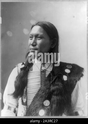 Sun Flower, Nativi Americani uomo, mezza lunghezza verticale, rivolto verso sinistra Foto Stock