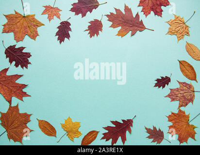 Composizione d'autunno. Telaio realizzato in cotone fiori, foglie essiccate su fondo azzurro. In autunno, il concetto di caduta. Appartamento laico, vista dall'alto, spazio di copia Foto Stock