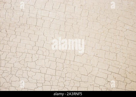 Foto di un legno chiaro texture. Foto Stock