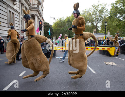 I membri di estinzione della ribellione, vestito come canguri, bounce in Westminster. Essi utilizzano la disobbedienza civile per evidenziare il clima e i problemi ecologici. Foto Stock