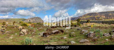 Bellissimo paesaggio della balla etiope Mountains National Park. Etiopia deserto natura pura. Giornata soleggiata con cielo blu. Foto Stock