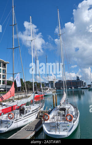 Yacht ormeggiati a Viaduct Basin nel porto di Auckland. Foto Stock