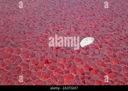 Il Lago Natron, Valle del Rift, Tanzania, Africa Foto Stock