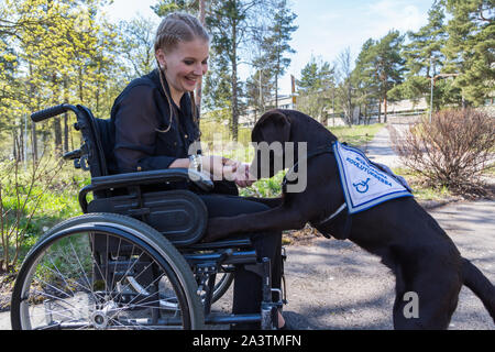 Giovane donna disabile su sedia a rotelle con un cane guida Foto Stock