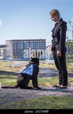 Giovane donna alla formazione un labrador retriever cane guida all'aperto Foto Stock