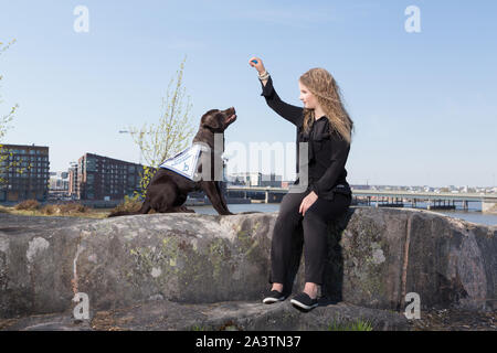 Giovane donna alla formazione un labrador retriever cane guida all'aperto Foto Stock