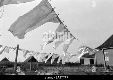 Adolf-Hitler-Koog, Schleswig-Holstein, 1936. Adolf Hitler Koog in Schleswig-Holstein, 1936. Foto Stock