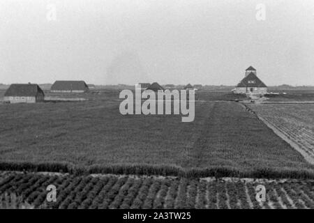 Adolf-Hitler-Koog, Schleswig-Holstein, 1936. Adolf Hitler Koog in Schleswig-Holstein, 1936. Foto Stock