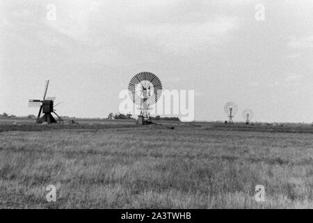 Windmühlen in Schleswig-Holstein, 1936. Mulini a vento in Schleswig-Holstein, 1936. Foto Stock