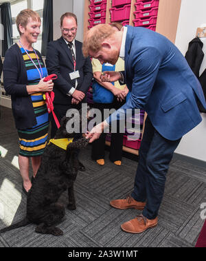 Il Duca di Sussex incontra Barney la terapia cane durante una visita a Nottingham Academy durante la sua visita a segnare giornata mondiale della salute mentale. Foto Stock