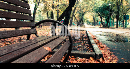 Banco in autunno park, foglie di autunno sul marciapiede Foto Stock