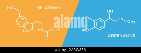 Melatonina e ormone adrenalina simboli. Il corpo umano ormoni molecolare formula chimica. Illustrazione Vettoriale