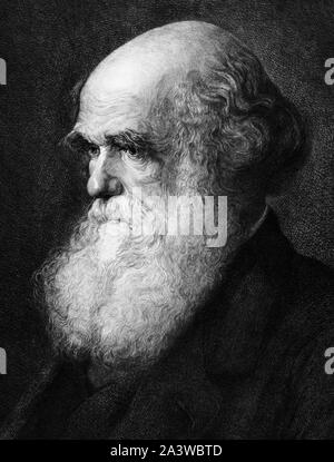 Vintage ritratto del naturalista inglese, geologo e biologo Charles Darwin (1809 - 1882), le cui opere famose sulla teoria evolutiva includono "sull'origine delle specie" nel 1859 e "la discesa dell'uomo" in 1871. Dettaglio da un attacco a circa 1890 da Gustave Mercier, basato su un 1875 dipinto da un artista Walter William Ouless e pubblicato da Robert Lindsay di Philadelphia. Foto Stock