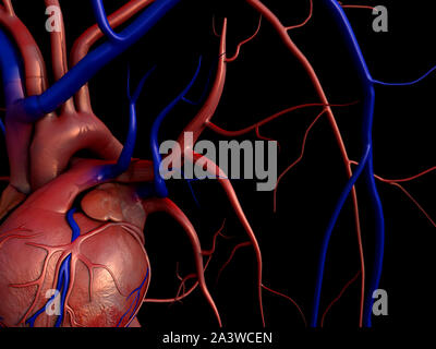 Il cuore umano, completa il percorso di clipping incluso, Anatomia cardiaca, 4K animazione del cuore umano Foto Stock