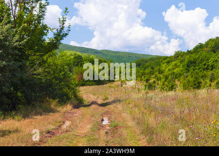 Wet empty sporca strada rurale, Crimea, montagne paesaggio di giorno di estate Foto Stock