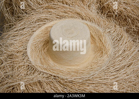 Tradizionale Panama cappelli (paja toquilla), che in realtà provengono da Ecuador , Cuenca, Ecuador Foto Stock