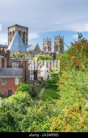 York Minster e Grey's corte dal Bar pareti in autunno, York, Inghilterra Foto Stock