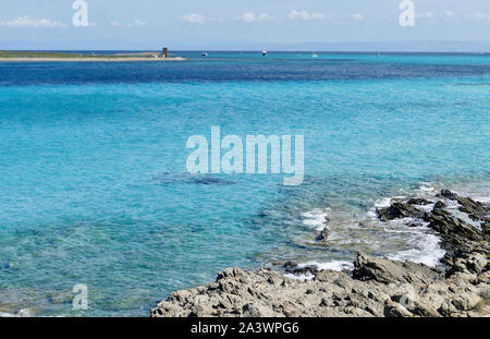 Spiaggia mediterranea nella spiaggia de La Pelosa, Stintino, Sardegna, Italia Foto Stock