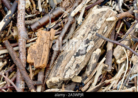 Un close up immagine astratta di pezzi di driftwood e altri detriti raccolti ad alta marea su una spiaggia. Foto Stock