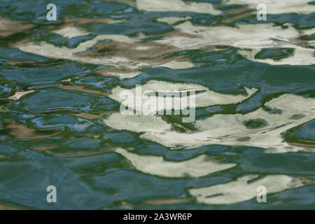 Verde, Blu, bianco e modelli di acqua Foto Stock