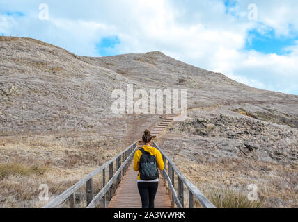 Giovane ragazza in felpa gialla sul sentiero escursionistico a Ponta de Sao Lourenco a Madeira, Portogallo. Penisola nella parte orientale dell'isola. Paesaggio vulcanico. Donna viaggiatore. Adventure Concept. Foto Stock