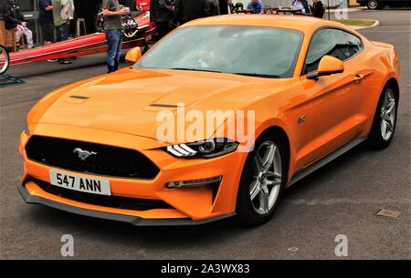 2019 Ford Mustang GT (arancione) Foto Stock