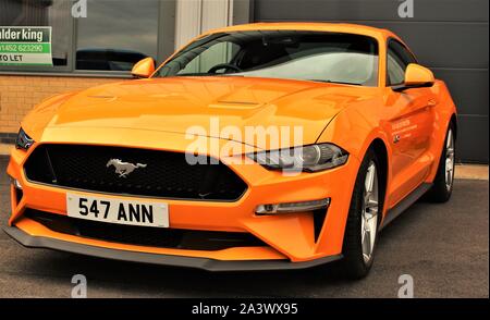 2019 Ford Mustang GT (arancione) Foto Stock