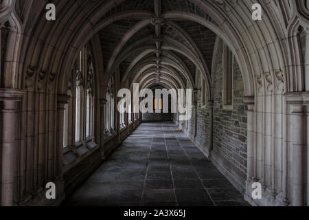 Archi del chiostro nel campus della Princeton University Foto Stock