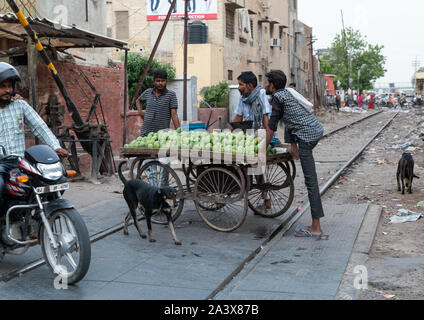 Di mango fresco in indian mercato ortofrutticolo, Rajasthan, Bikaner, India Foto Stock