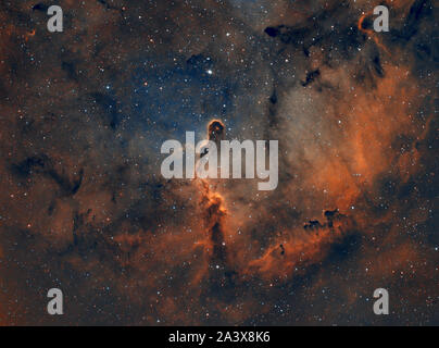 IC1396 la Nebulosa Proboscide in Cefeo Foto Stock