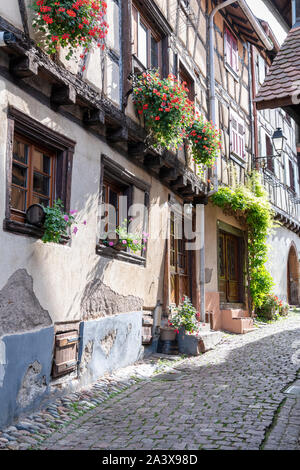 Una bella strada con metà case con travi di legno, finestre in Eguisheim Alsace Francia Foto Stock