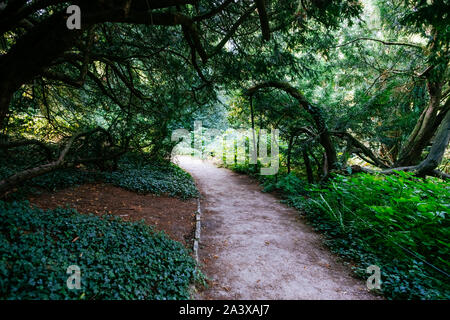 MÜNSTER/GERMANIA - Agosto 2019: Giardino Botanico nel centro della città di Münster WWU vicino palazzo universitario Foto Stock