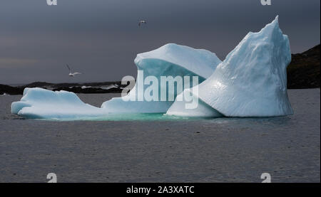 Iceberg con drammatica cielo scuro dopo la pioggia e gli uccelli volare sull isola di Fogo, Terranova Foto Stock